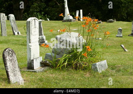 Grabsteine in einem alten Friedhof mit Tiger-Lilie Blumen an einem Grab Stockfoto