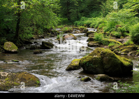 Watersmeet, East Lyn River North Devon Stockfoto