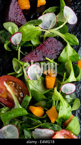 Gemischter Salat mit Tomaten rote Beete Rettich und butternut Stockfoto