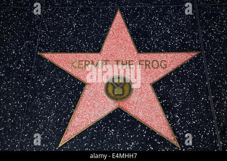 Kermit der Frosch-Stern am Hollywood Walk of Fame, Hollywood Boulevard, Hollywood, Los Angeles, Kalifornien, USA Stockfoto