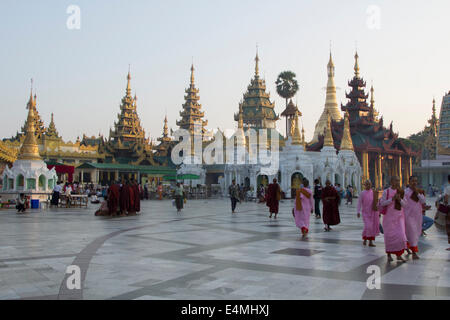 Vom frühen Morgen an der Shwedagon-Pagode in Yangon, Birma. Stockfoto