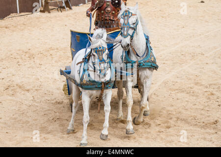 Römische Streitwagen in einem Kampf der Gladiatoren, blutigen Zirkus Stockfoto