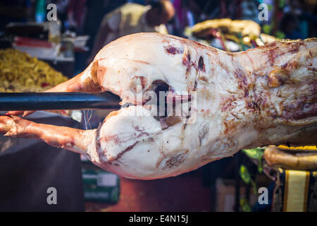 große gegrillte Schweinefleisch Tatsache, Mittelalterfest in Spanien Stockfoto