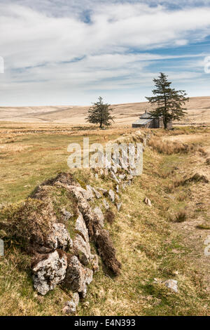 Nonnental Cross Farm Dartmoor Stockfoto