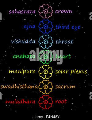 Bunte Blumen in Chakra-Spalte Stockfoto