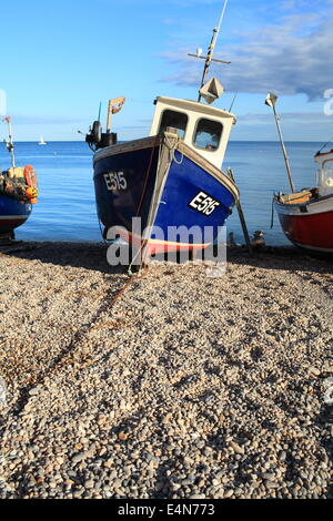 Bier, Angelboote/Fischerboote in Sommer, East Devon, England, UK Stockfoto