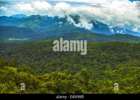 Go Green Stockfoto