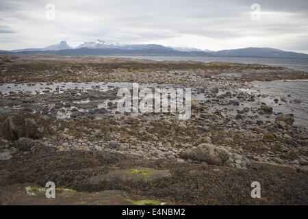 Seeküste, Bodo, Nord-Norwegen Stockfoto