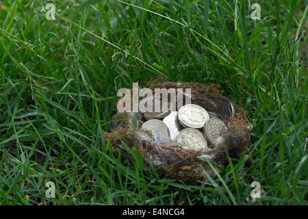 Englische Münzen in einem Vogelnest auf Rasen Stockfoto