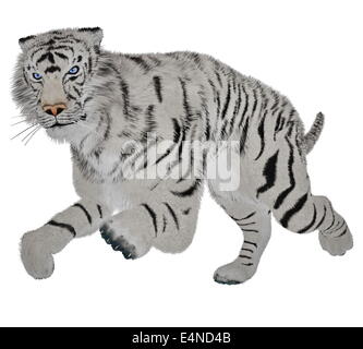 Weißer Tiger laufen Stockfoto