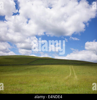 Traktorspuren auf einer Wiese vor einem bewölkten blauen Himmel in den Scottish borders Stockfoto