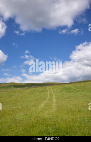 Traktorspuren auf einer Wiese vor einem bewölkten blauen Himmel in den Scottish borders Stockfoto