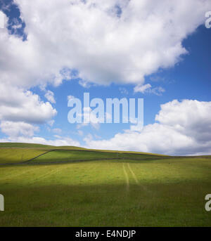 Traktorspuren auf einer Wiese vor einem bewölkten blauen Himmel in den Scottish borders Stockfoto