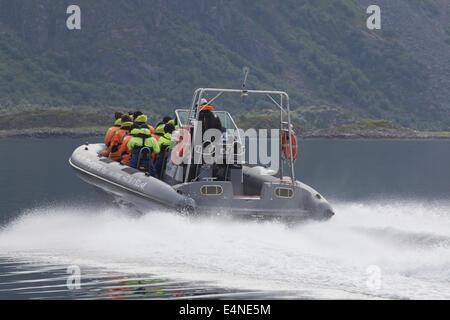 Mit dem Schnellboot Trollfjord, Lofoten Inseln, Norwegen Stockfoto