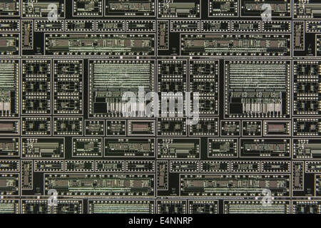 Makrofoto von 2 Mikrokreis-Chips auf Siliziumwafer. Digitales Technologiekonzept, Mikroschaltungen, winziges Konzept, Silikonchips, Nahaufnahme Stockfoto