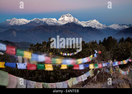 Dhaulagiri und Gebetsfahnen bei Sonnenaufgang vom Poon Hill, Ghorepani, Nepal Stockfoto