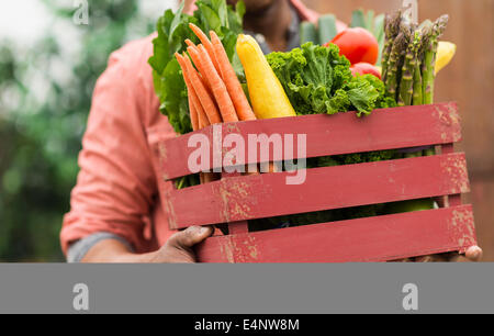 Der Mann trägt Kiste voller frisches Gemüse hautnah Stockfoto