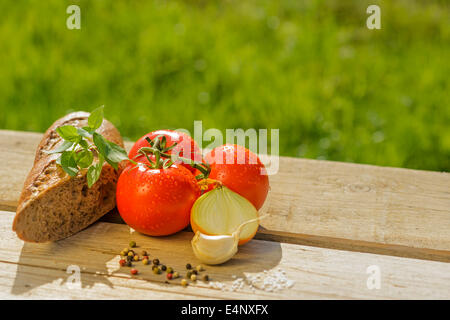 Tomate Basilikum Zwiebeln mit Pfeffer und Salz auf einem Holztisch im freien ernten Gemüse frische Lebensmittel Natur Stockfoto