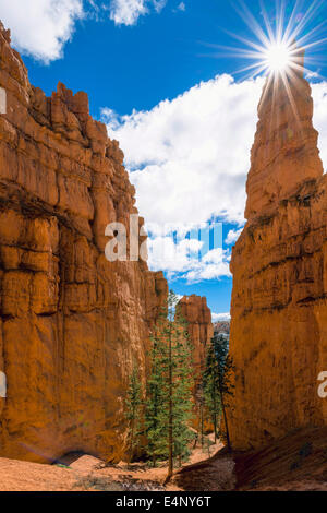 USA, Utah, Sonne über Bryce Canyon Stockfoto