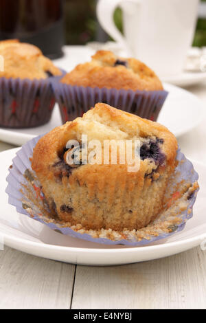 Essen frisch gebackene Blaubeer-muffins Stockfoto