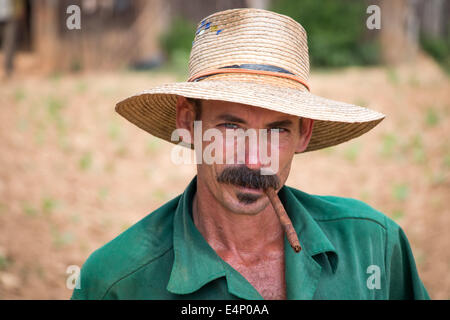 Landwirt mit Zigarre im Mund Tabak Arbeitsfeld, Valle de Viñales, Pinar del Río Provinz, Kuba. Stockfoto