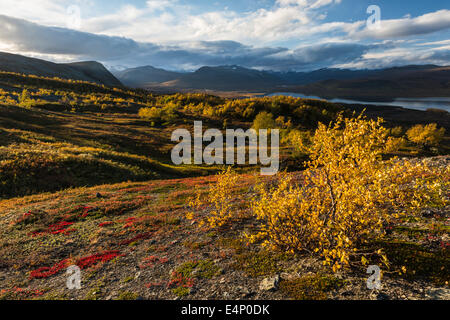 Blick Auf Den Paittasjaervi sehen Und Berge Im Kebnekaisefjaell, Norrbotten, Lappland, Schweden Stockfoto