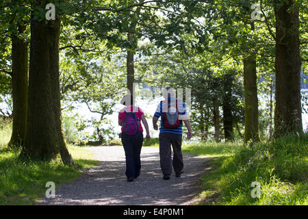 Lake Windermere, Cumbria, UK. 15. Juli 2014. Touristen nutzen des sonnigen Wetters am und rund um Lake Windermere. Wanderer genießen ruhigen Spaziergang am See: Credit: Gordon Shoosmith/Alamy Live News Stockfoto