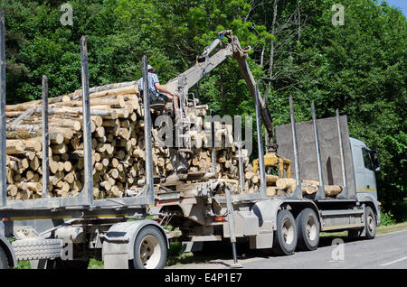 Mann mit Spezialkran Ausrüstung Ladung LKW-Anhänger mit Stückholz in der Nähe von Wald. Wald fiel. Stockfoto