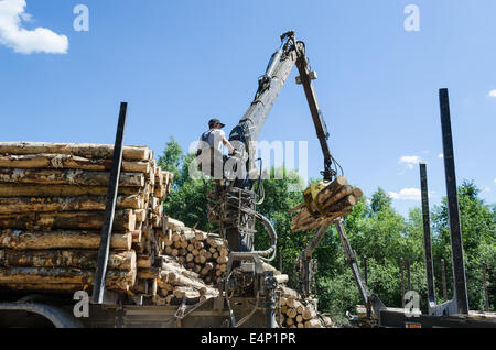 Harvester arbeiten im Wald, Arbeiter laden Protokolle mit Kran im Trailer geschnitten Stockfoto