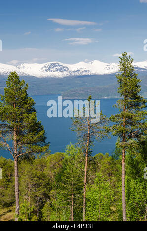 Innvikfjorden, Stryn, Sogn Og Fjordane Fylke, Norwegen Stockfoto