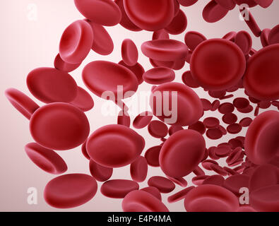 Rote Blutkörperchen Stockfoto