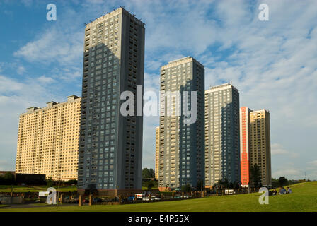 Red Road Flats Glasgow vor den Abrissen, die 2015 abgeschlossen wurden. . Stockfoto