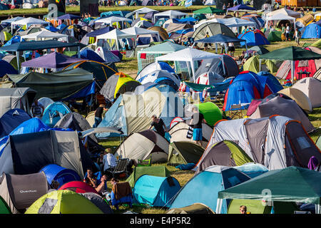 Viele Zelte auf einer Wiese bei einem Open-Air-Festival, camping, Stockfoto