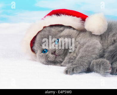 Kleines Kätzchen tragen die Weihnachtsmütze Stockfoto