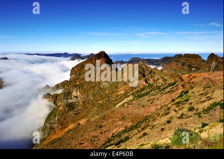 Über den Wolken auf Madeira Stockfoto
