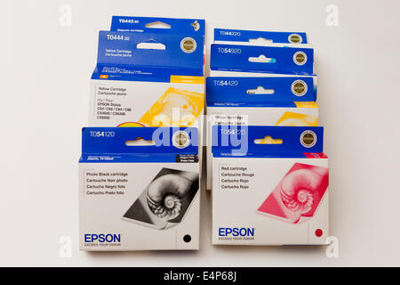 Epson Druckertinte in box Stockfoto