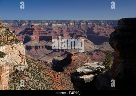 Grand Canyon gesehen von Bright Angel Trail, South Rim, Grand Canyon National Park, Arizona, USA Stockfoto