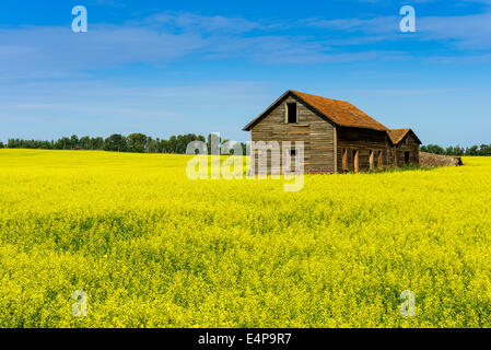 Ein Turm für Stromleitungen Stockfoto