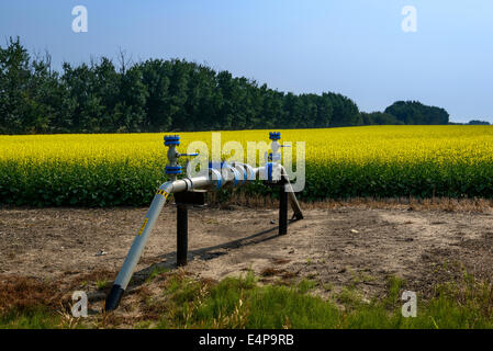 Rohrleitung in einem Bauern-Feld Stockfoto