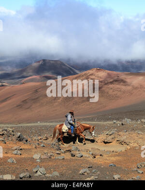 Reiterin auf die Sliding Sands Trail im Haleakala National Park auf Maui Stockfoto
