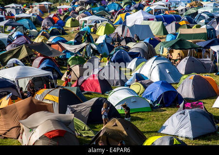 Viele Zelte auf einer Wiese bei einem Open-Air-Festival, camping, Stockfoto