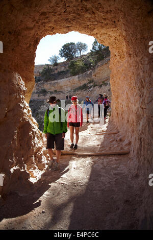 Menschen wandern durch Tunnel auf der Bright Angel Trail, South Rim, Grand Canyon, Grand Canyon National Park, Arizona, USA Stockfoto