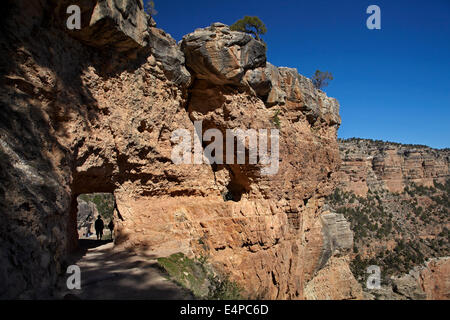 Person und Tunnel auf der Bright Angel Trail, South Rim, Grand Canyon, Grand Canyon National Park, Arizona, USA Stockfoto