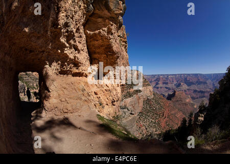 Person und Tunnel auf der Bright Angel Trail, South Rim, Grand Canyon, Grand Canyon National Park, Arizona, USA Stockfoto