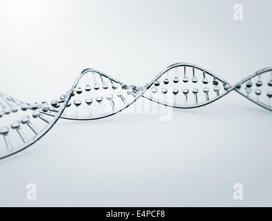 3d Modell eines Doppel-Helix DNA-Strang Glas Stockfoto