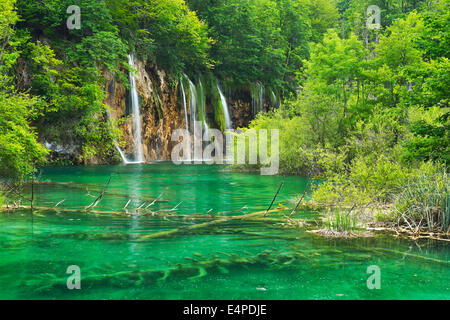 Wasserfall, Nationalpark Plitvicer Seen, Plitvice Jezera, Lika-Senj, Kroatien Stockfoto