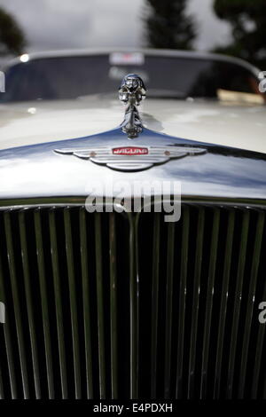 Oldtimer Jaguar 420 und Jaguar-emblem Stockfoto