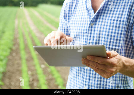 Der Landwirt mit Digital-Tablette auf Bio-Bauernhof hautnah Stockfoto