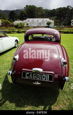 Oldtimer Jaguar geparkt auf dem Rasen des Harcroft House, Kapstadt Stockfoto