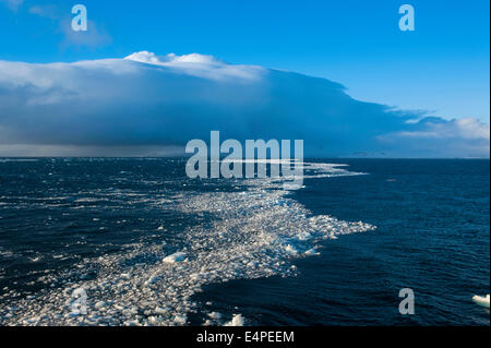 Eis in der Antarktis brechen Gewässern, Half Moon Bay, Süd-Shetland-Inseln, Antarktis Stockfoto